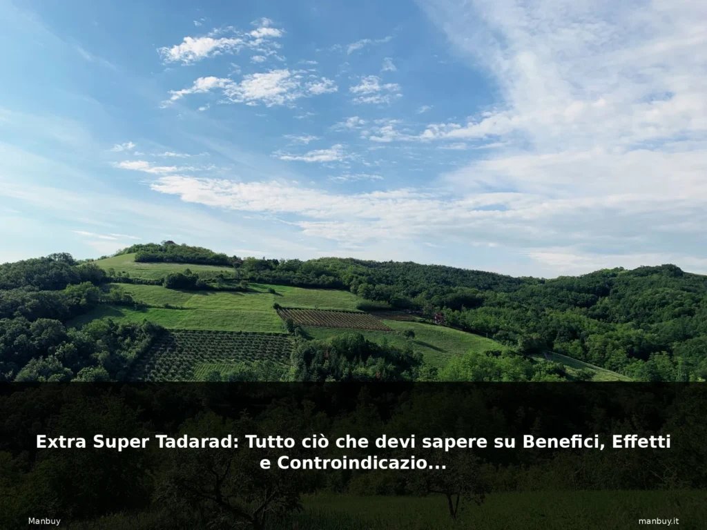 featured bosco italiano natura sentiero 2