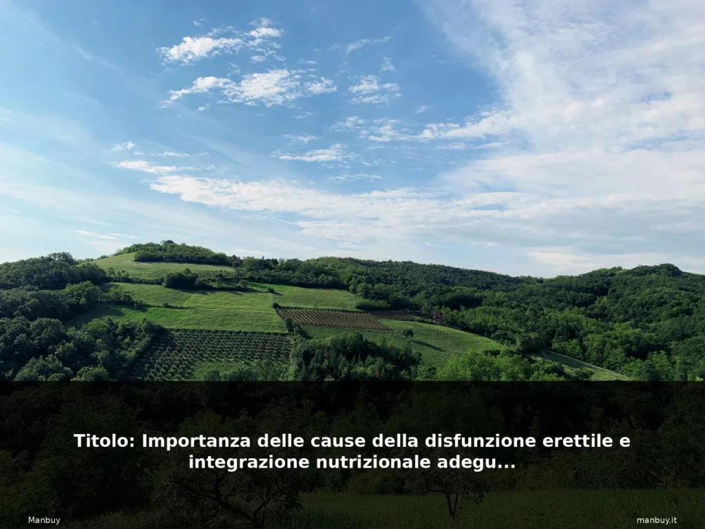 featured bosco italiano natura sentiero 4