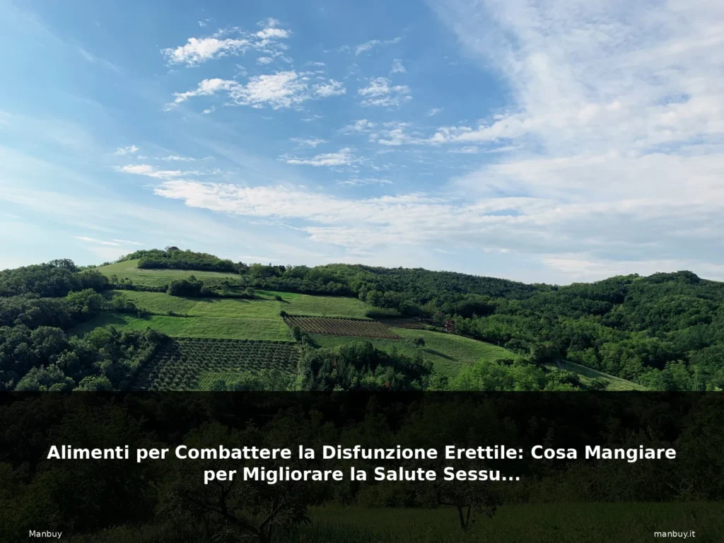 featured foresta italiana natura verde 2