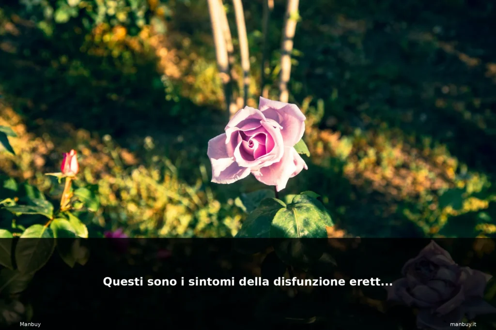 featured giardino italiano fiori natura 1